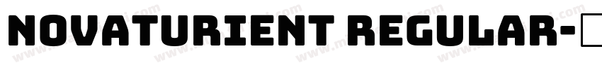 Novaturient Regular字体转换